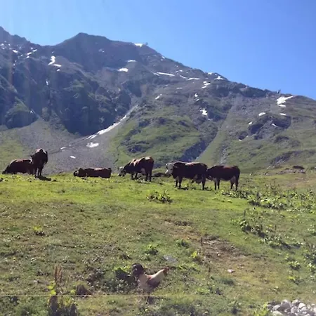 Grande Marmotte, Aux Pieds, Le Refuge Du Montagnard, Arc 1950 Apartment *